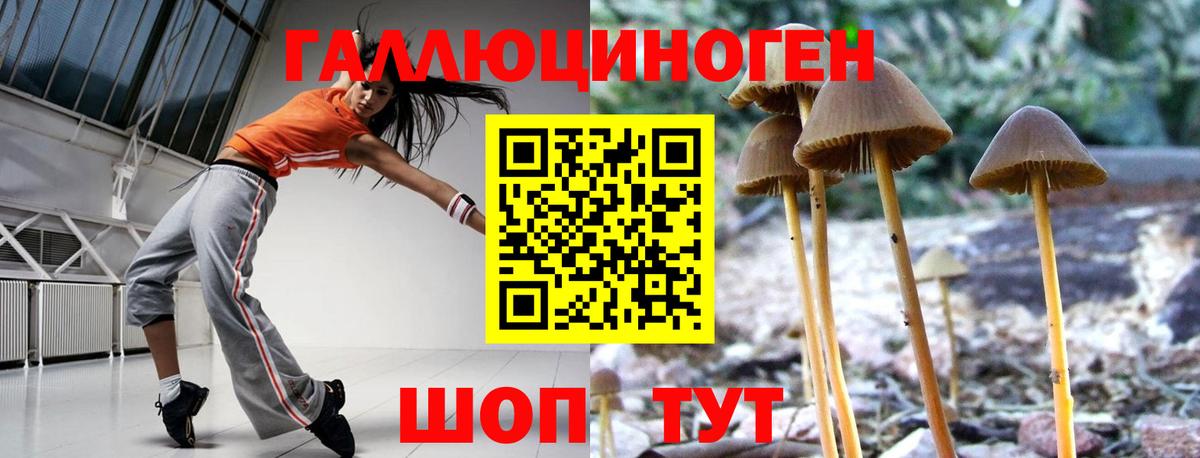 Галлюциногенные грибы GOLDEN TEACHER Богородск
