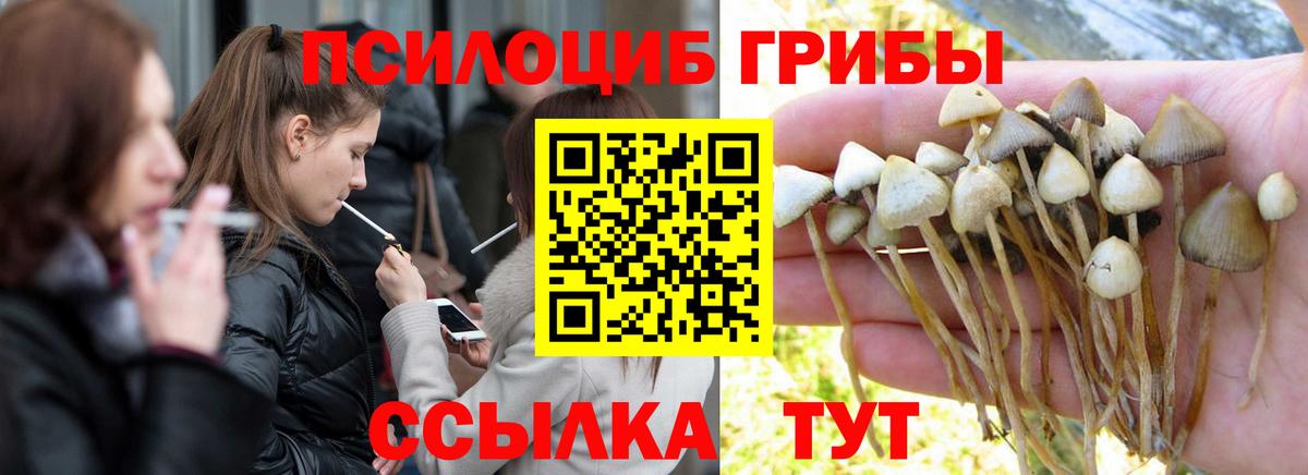 Псилоцибиновые грибы GOLDEN TEACHER  Вход с VPN  Галлюциногенные грибы мицелий  Богородск 